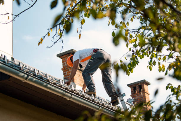 Best Sealant for Roof  in Key Vista, FL