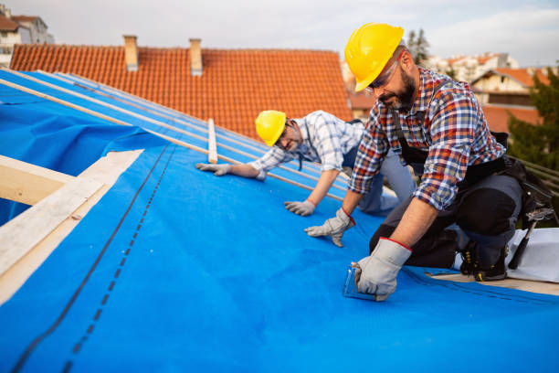 Quick and Trustworthy Emergency Roof Repair Services in Key Vista, FL