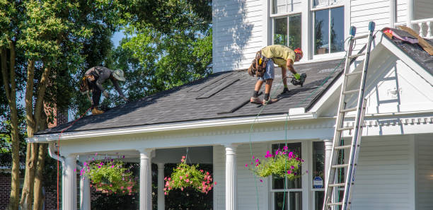 Best Shingle Roofing Installation  in Key Vista, FL